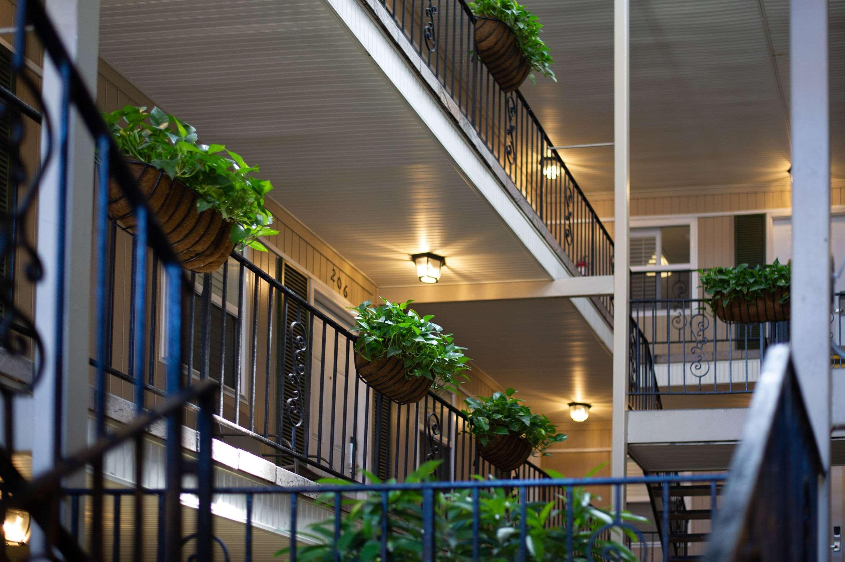 Frenchmen Orleans At 519, Ascend Hotel Collection La Nouvelle-Orléans Extérieur photo